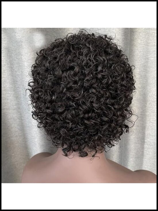 Pixie Cut Curly Lace Front Wig Human Hair 13x1 HD Transparent 150% Density